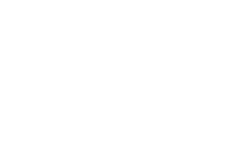 Aves netsec